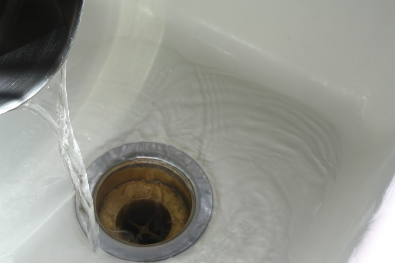 Sunny Simple Life Freshen and Clean Drains the Natural Way